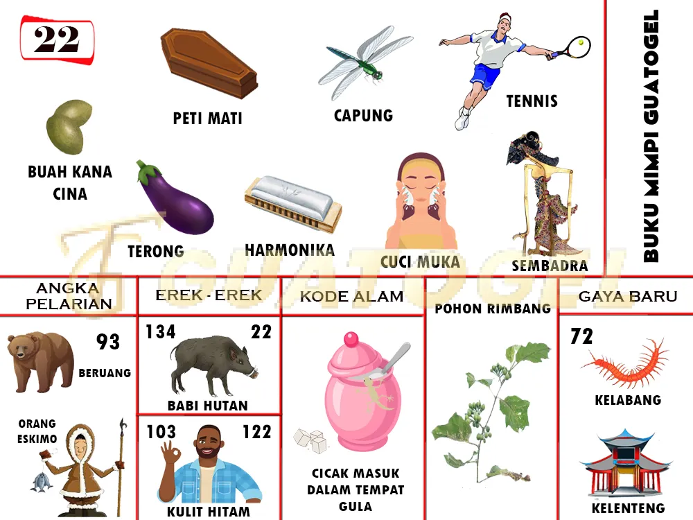 buku mimpi erek erek togel 22
